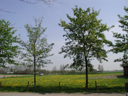 p1010056
